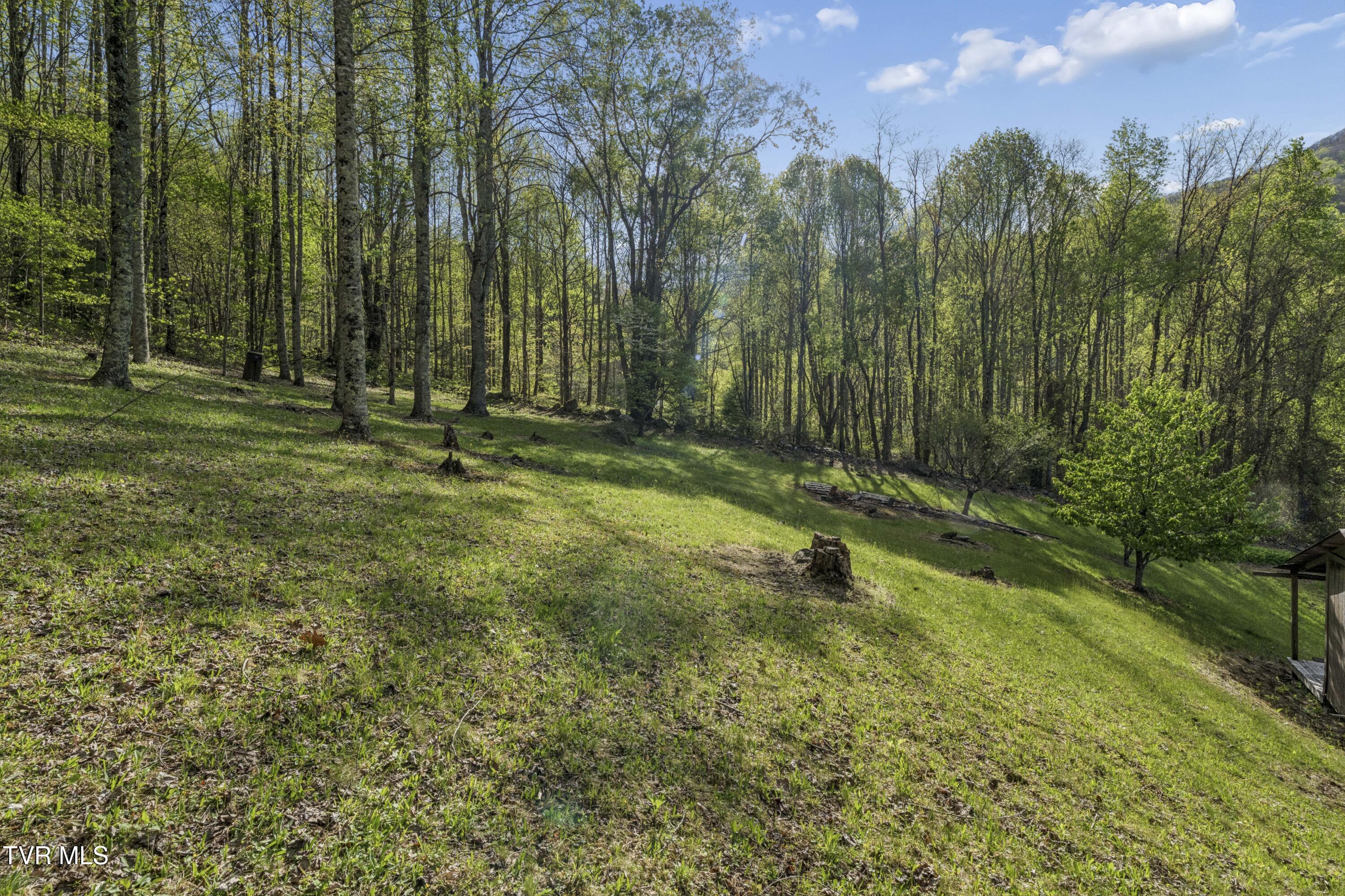 2169 Rice Creek Road Flag Pond, TN 37657 - Photo 41 of 79 Ricecreek-40