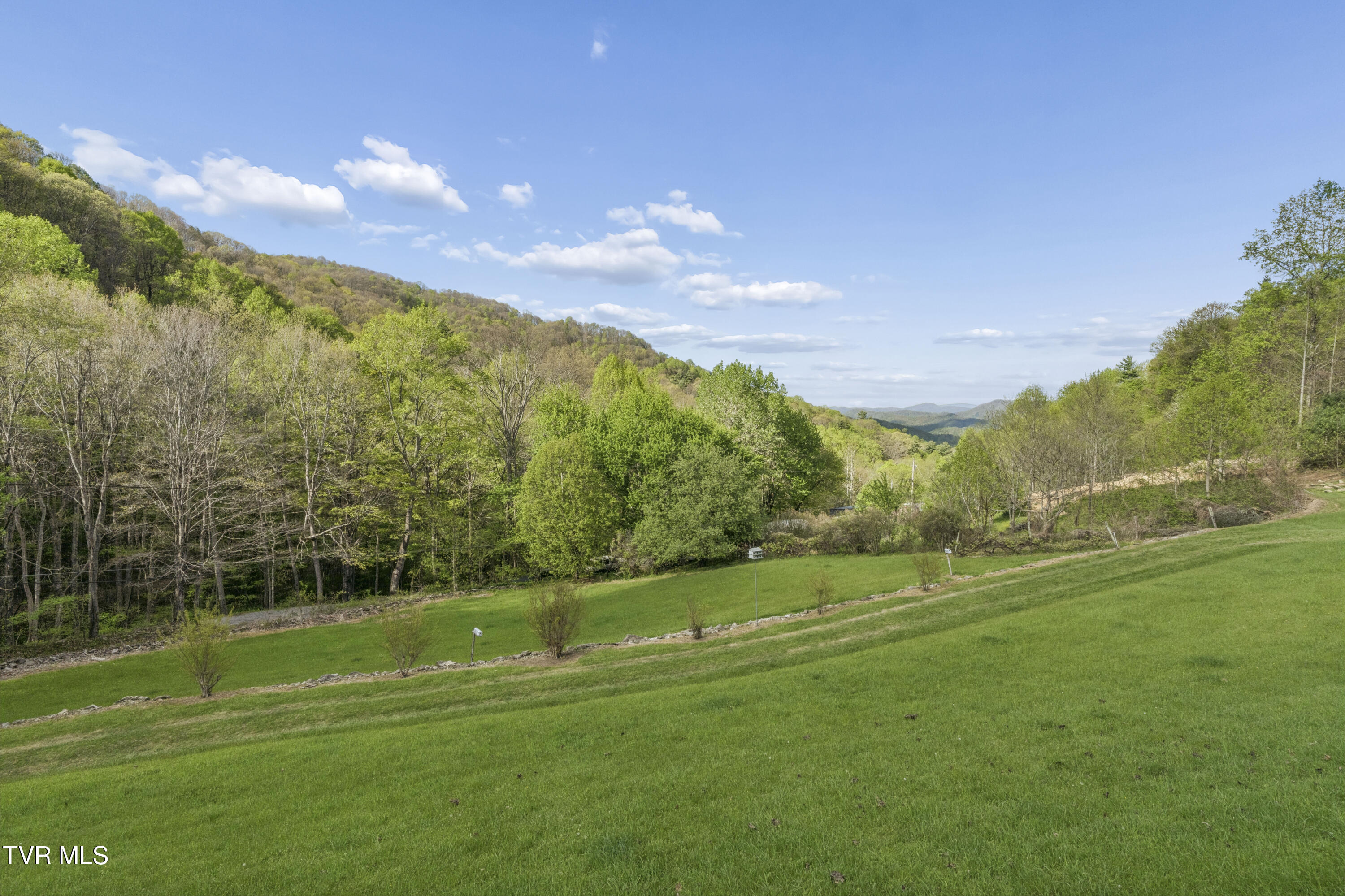 2169 Rice Creek Road Flag Pond, TN 37657 - Photo 44 of 79 Ricecreek-43