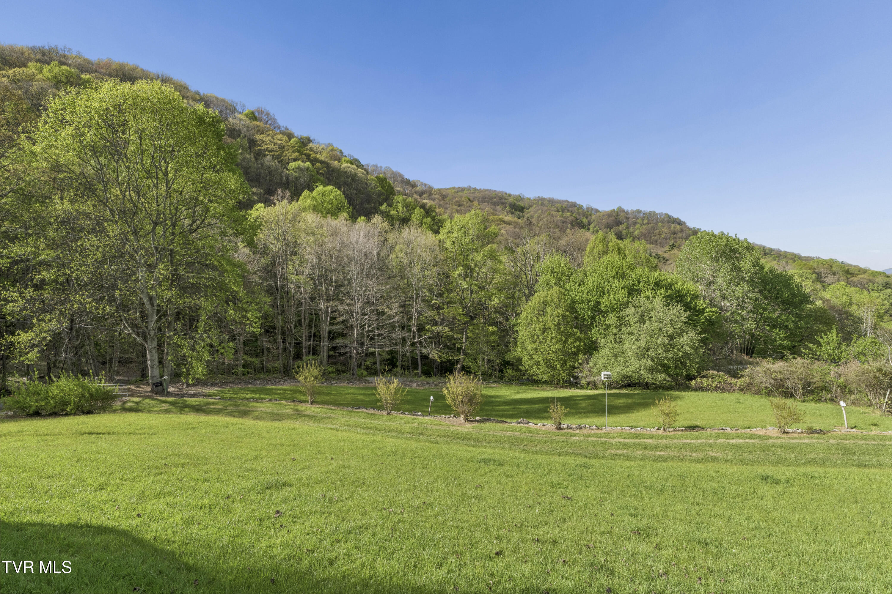 2169 Rice Creek Road Flag Pond, TN 37657 - Photo 47 of 79 Ricecreek-46