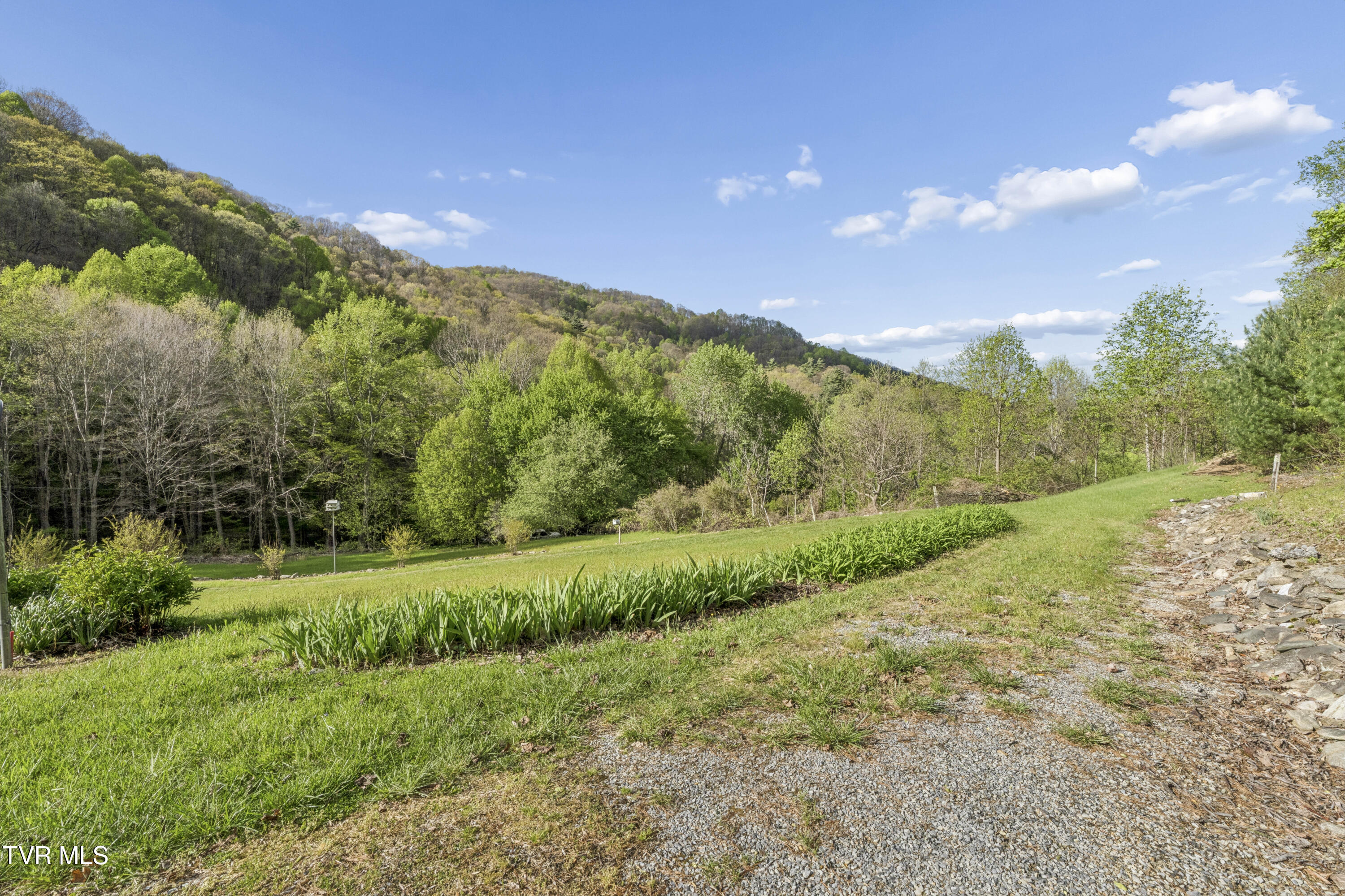 2169 Rice Creek Road Flag Pond, TN 37657 - Photo 55 of 79 Ricecreek-54
