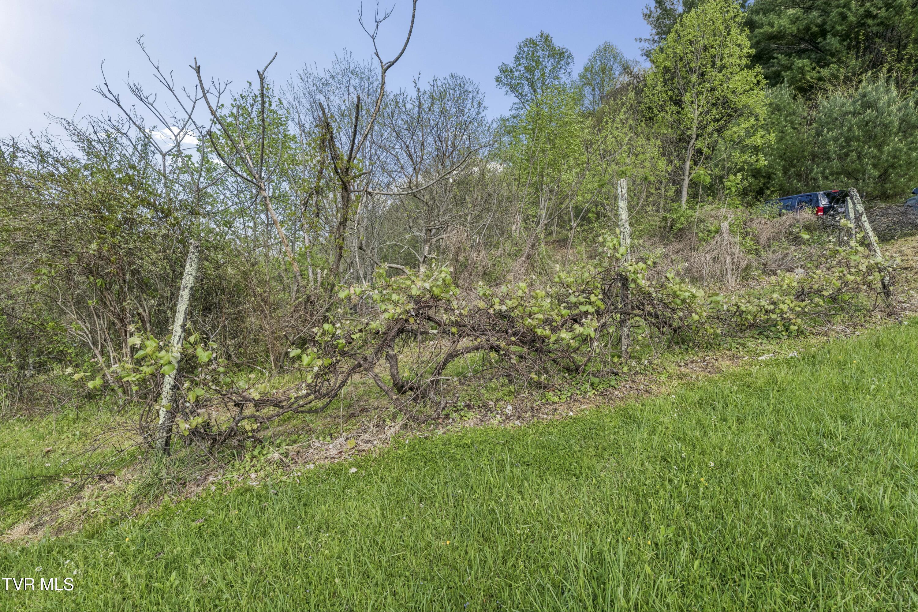 2169 Rice Creek Road Flag Pond, TN 37657 - Photo 59 of 79 Ricecreek-58