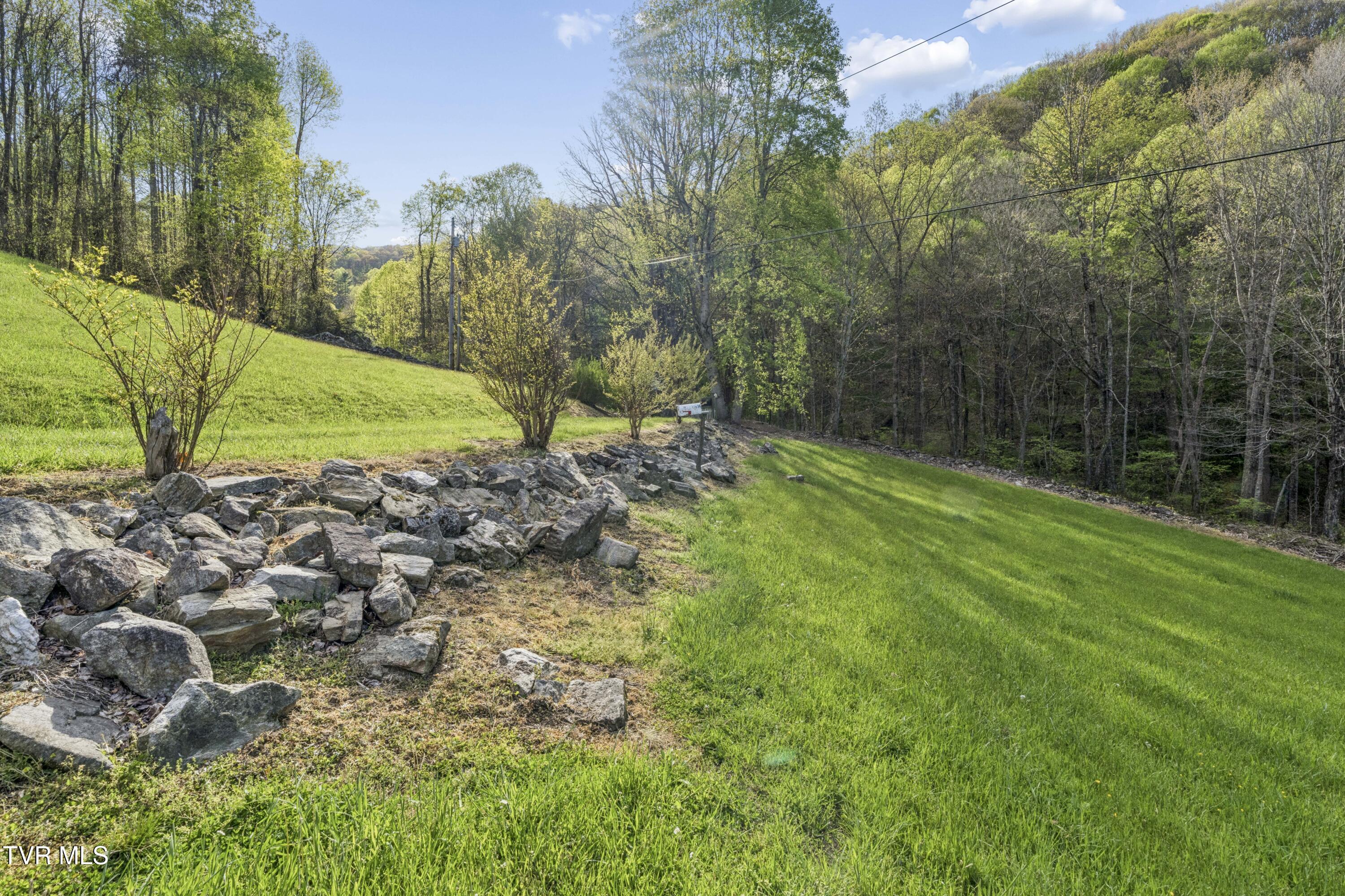 2169 Rice Creek Road Flag Pond, TN 37657 - Photo 60 of 79 Ricecreek-59
