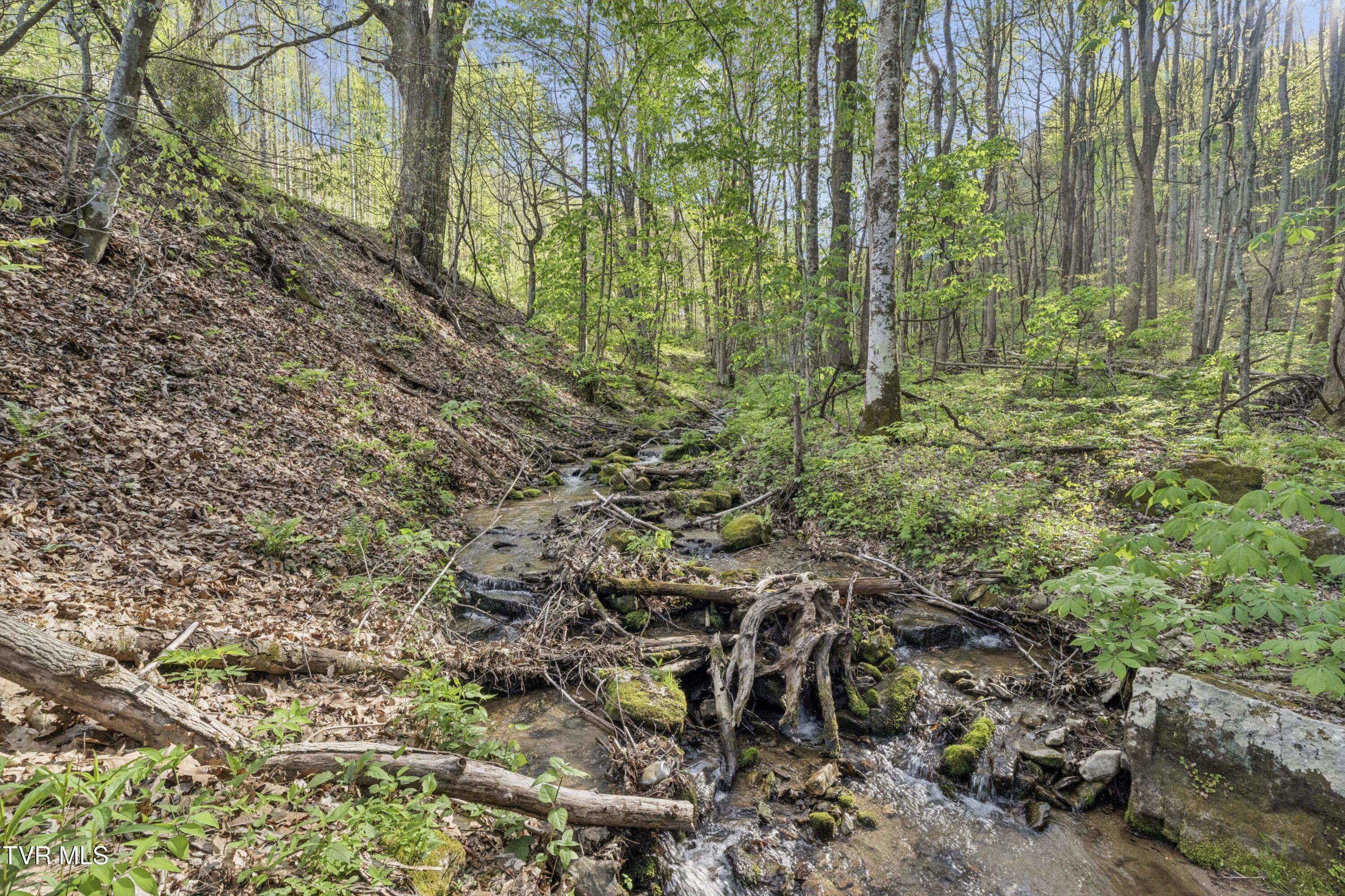 2169 Rice Creek Road Flag Pond, TN 37657 - Photo 62 of 79 Ricecreek-61