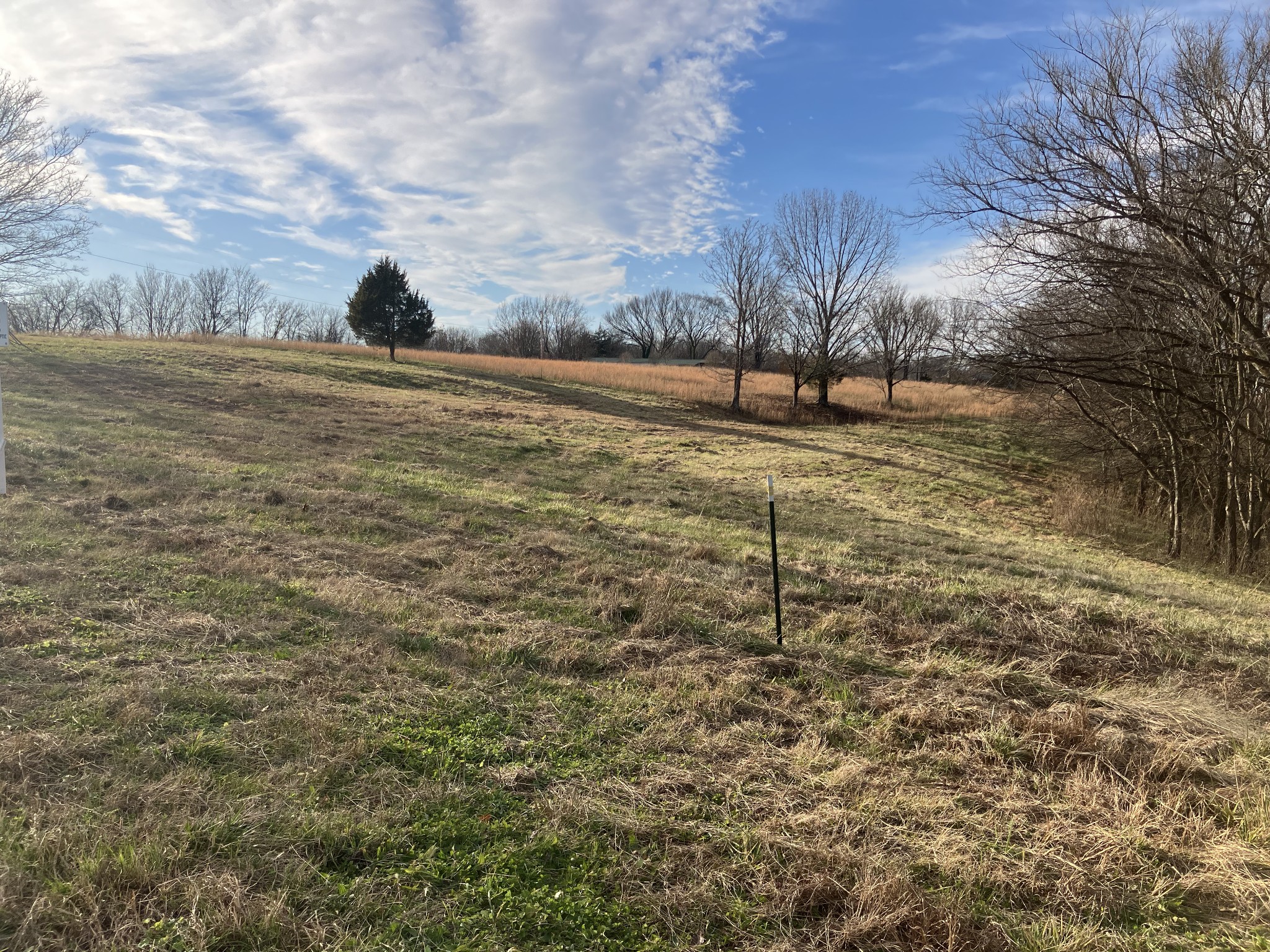 2 Diana Ridge Road Pulaski, TN 38478 - Photo 2 of 2 a view of yard with green space