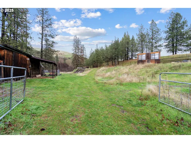 a view of a backyard