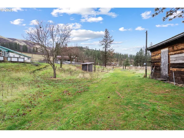 a backyard of a house with lots of green space
