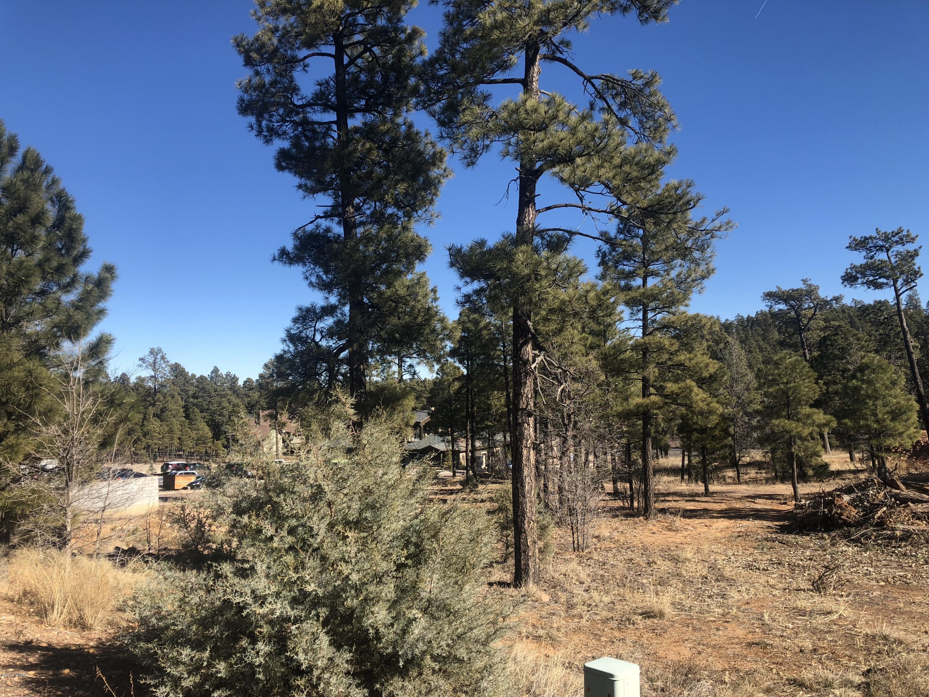 Tract D South White Mountain Road Show Low, AZ 85901 - Photo 5 of 14