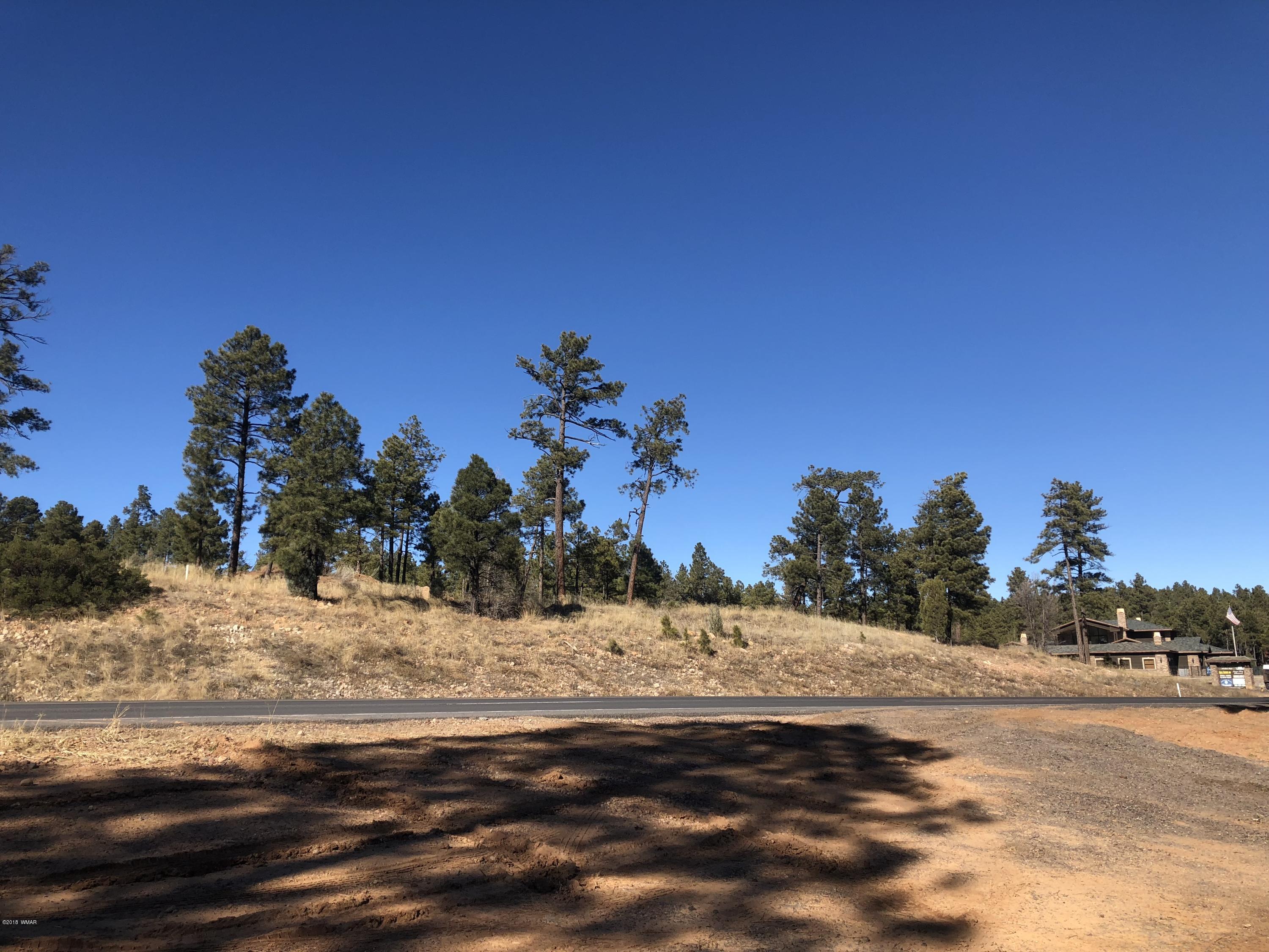 Tract D South White Mountain Road Show Low, AZ 85901 - Photo 6 of 14