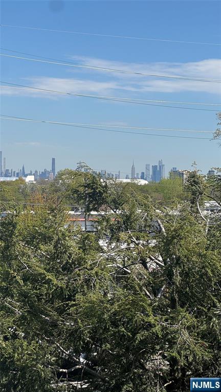 85 Eastern Way Rutherford, NJ 07070 - Photo 21 of 23 a view of a large building with mountains in the background