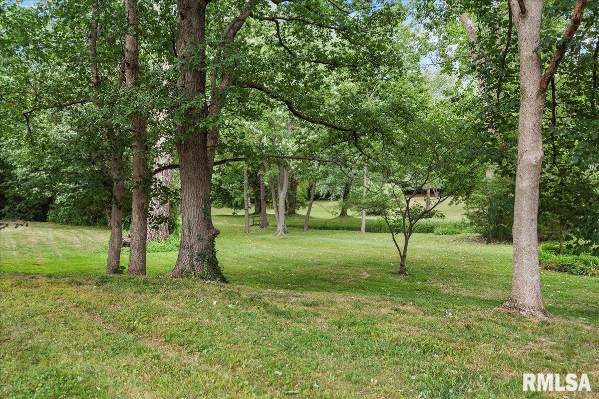 9 Galahad Drive Rochester, IL 62563 - Photo 53 of 66 Gallery Image 53