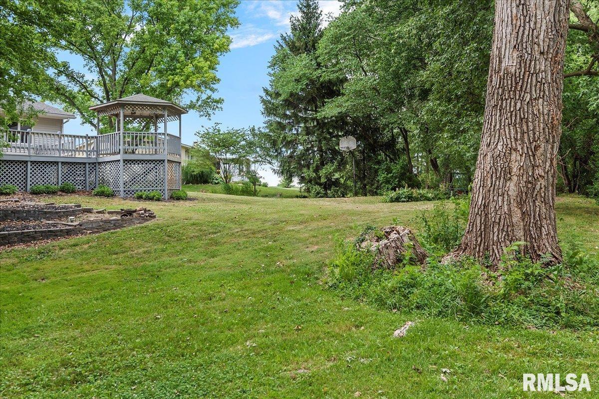9 Galahad Drive Rochester, IL 62563 - Photo 58 of 66 Gallery Image 58