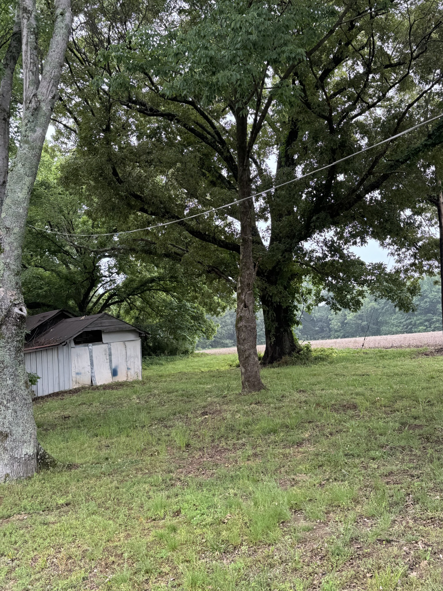 325 Harts Mill Road Atwood, TN 38220 - Photo 14 of 44