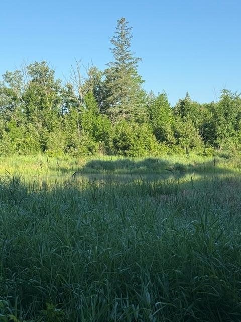 Tbd Old Grade Road Pine River, MN 56474 - Photo 2 of 15 Gallery Image 2