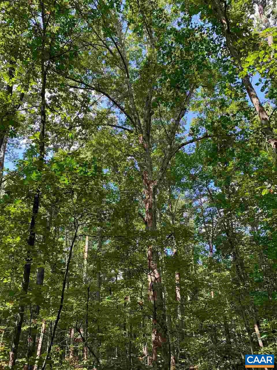 Tbd Tbd Broad Street Road Gum Spring, VA 23065 - Photo 2 of 4