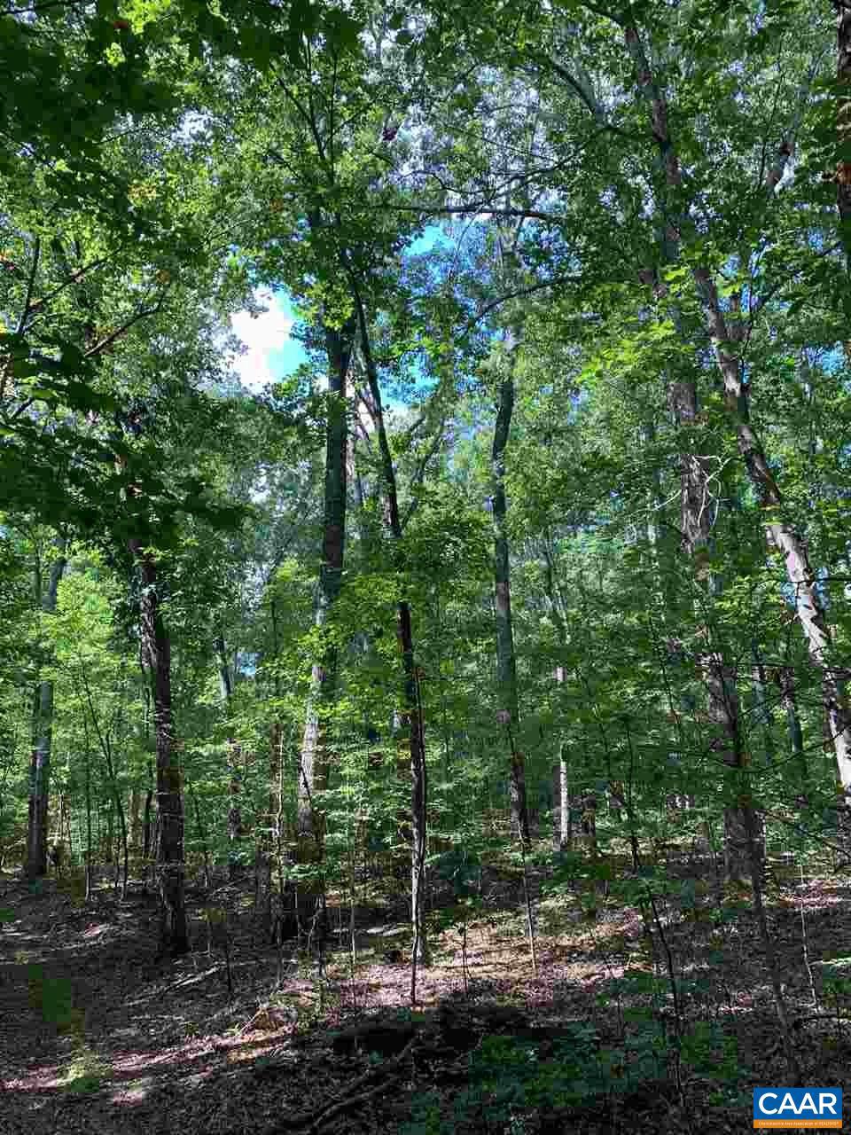 Tbd Tbd Broad Street Road Gum Spring, VA 23065 - Photo 3 of 4