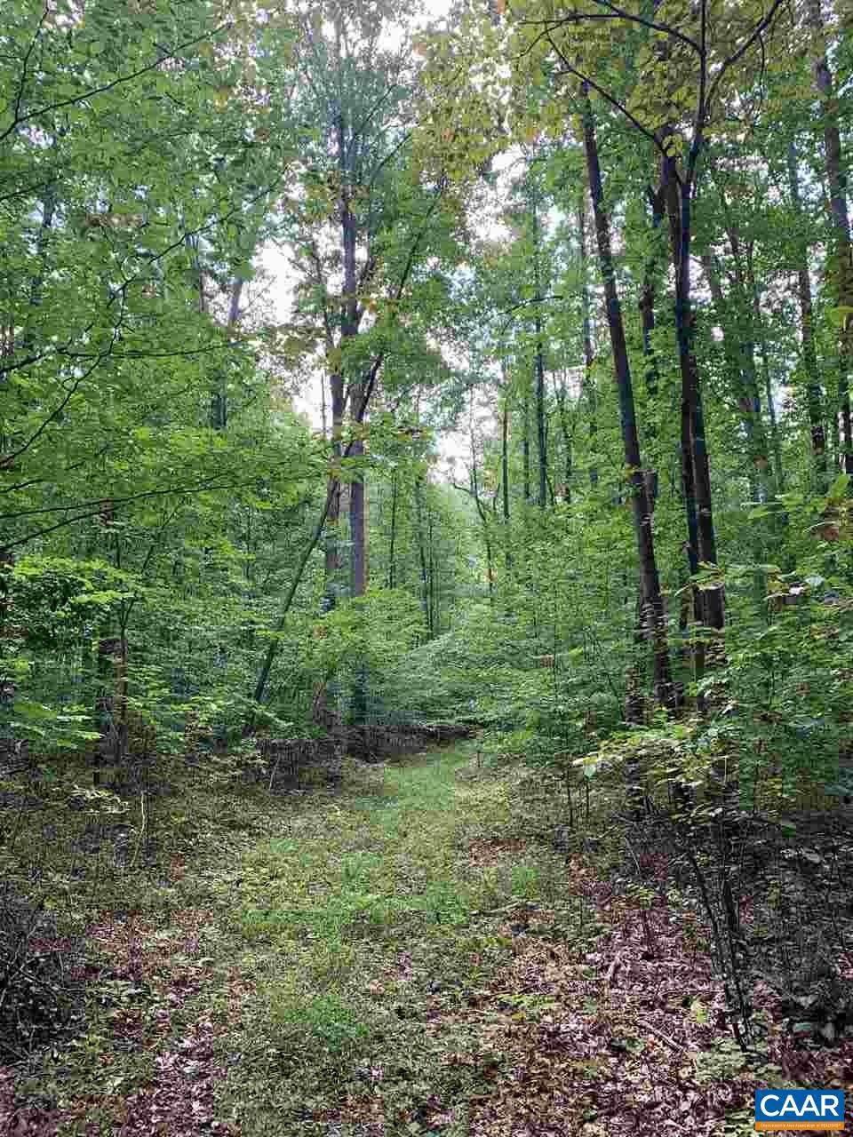 Tbd Tbd Broad Street Road Gum Spring, VA 23065 - Photo 4 of 4