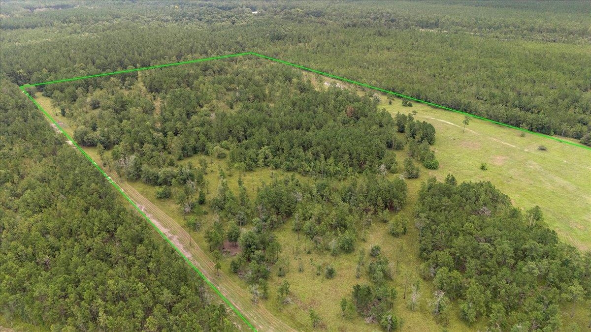 Ooo Horseshoe Road Kountze, TX 77625 - Photo 8 of 17