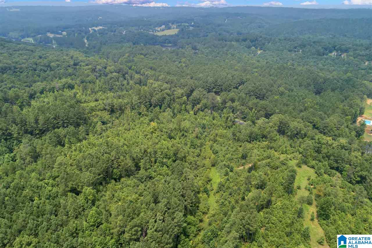 4472 Mountain View Road Odenville, AL 35120 - Photo 2 of 9