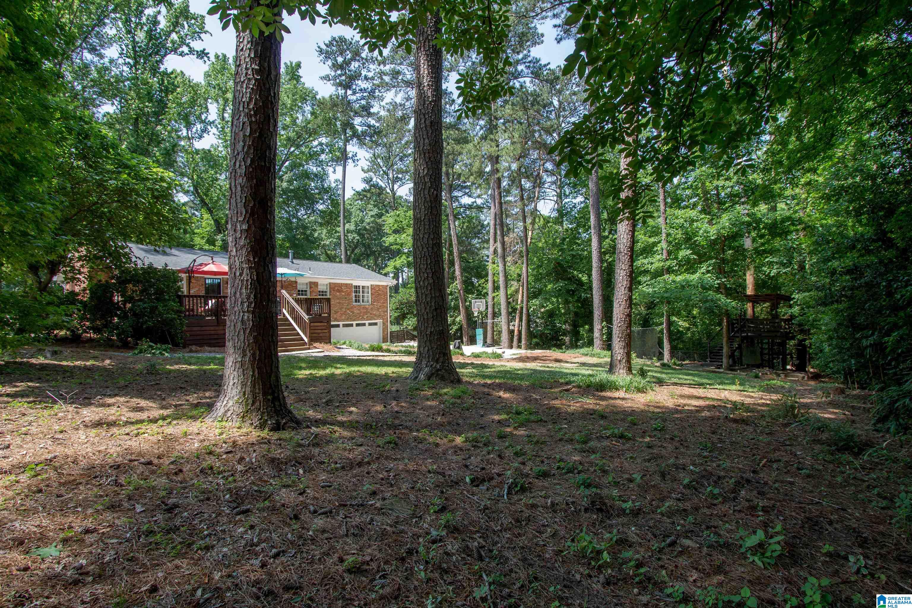 3509 Pineland Drive Birmingham, AL 35243 - Photo 46 of 50