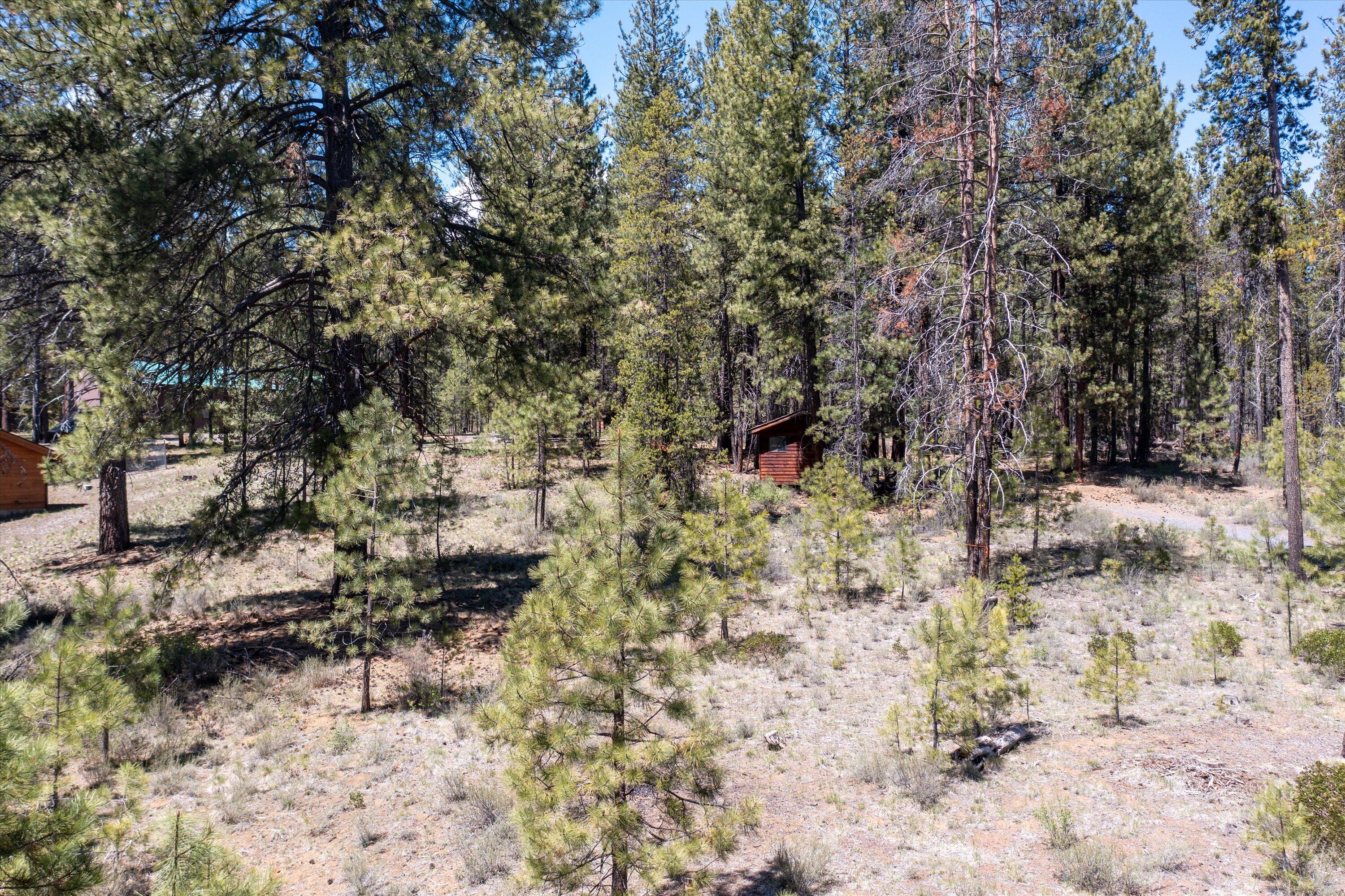 17079 Rani Way Bend, OR 97707 - Photo 8 of 10 Terrain w_shed 2
