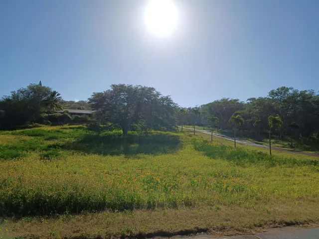 $949,000 | 91 Noho Lio Road, Maunaloa, HI 96770