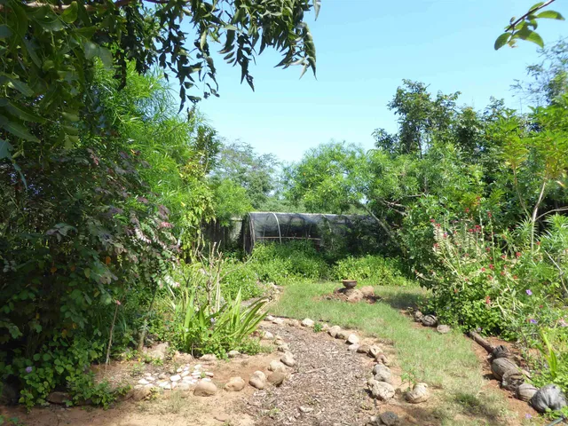 a view of sink and wooden floor