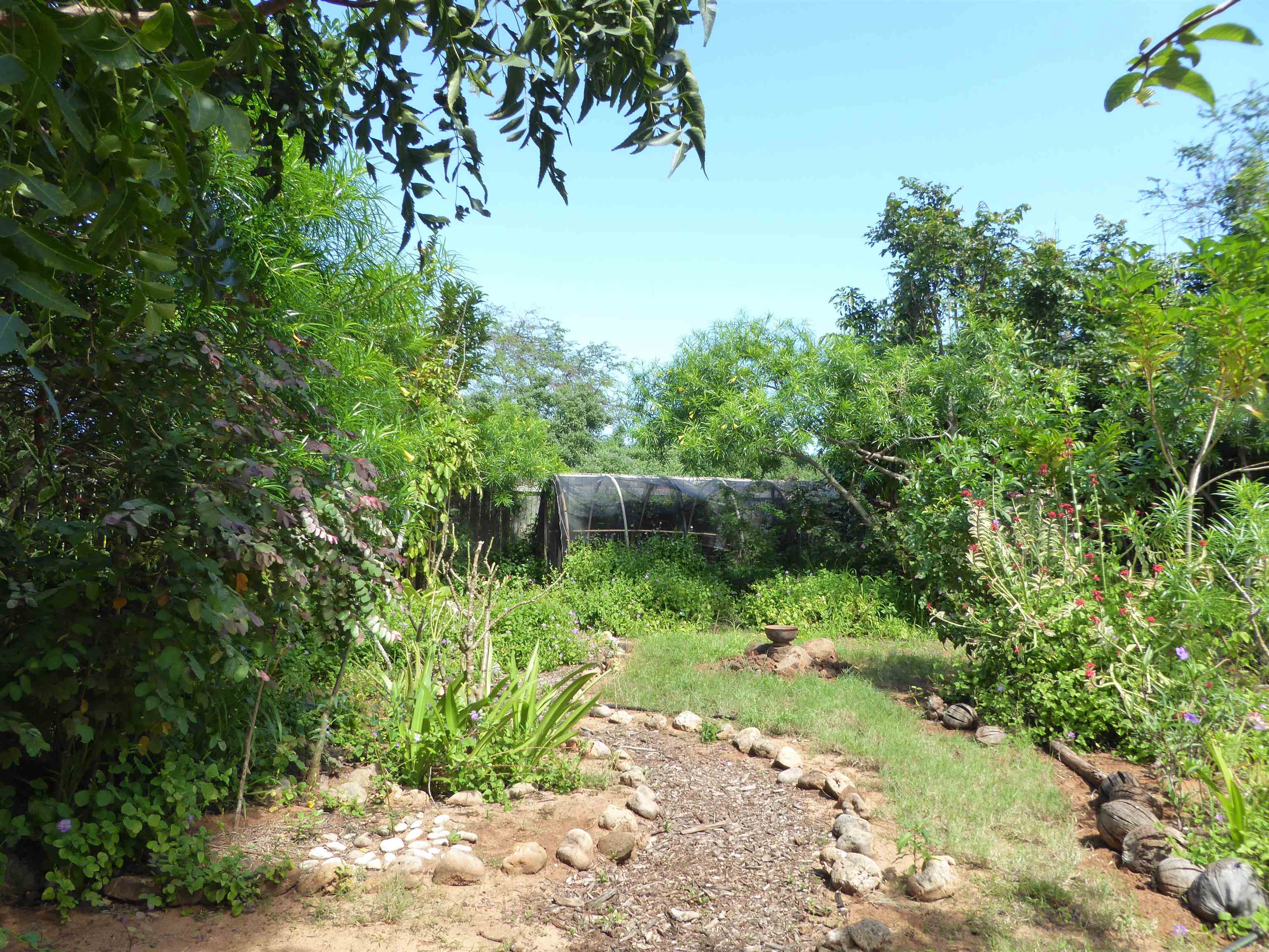 91 Noho Lio Road Maunaloa, HI 96770 - Photo 11 of 27 a backyard of a house with a yard and outdoor seating
