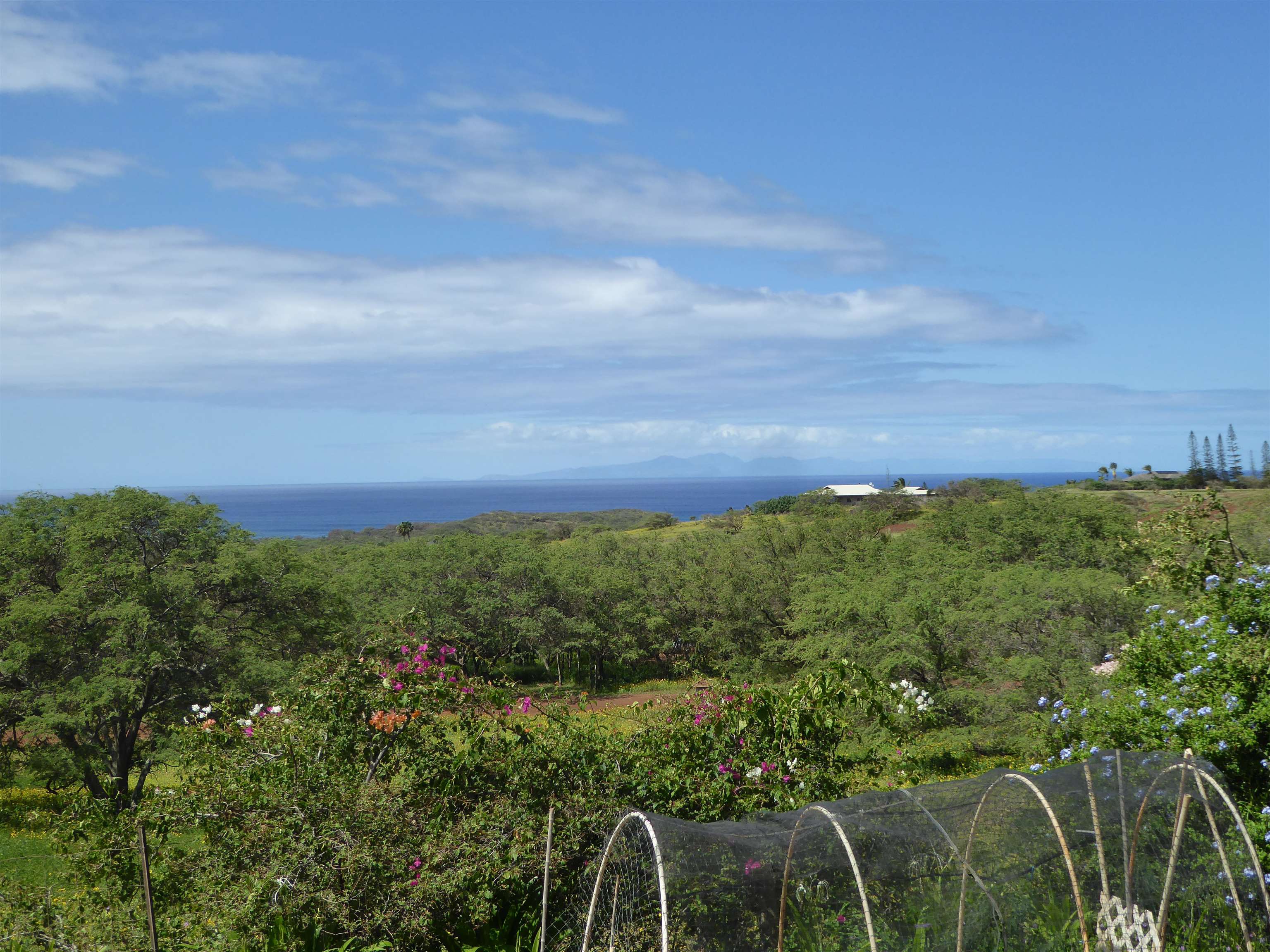 91 Noho Lio Road Maunaloa, HI 96770 - Photo 4 of 27 a view of a yard with an outdoor seating