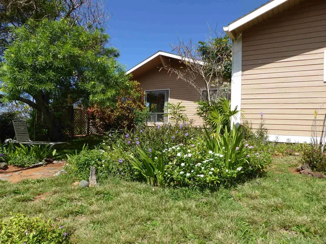 a view of a yard with plants and trees