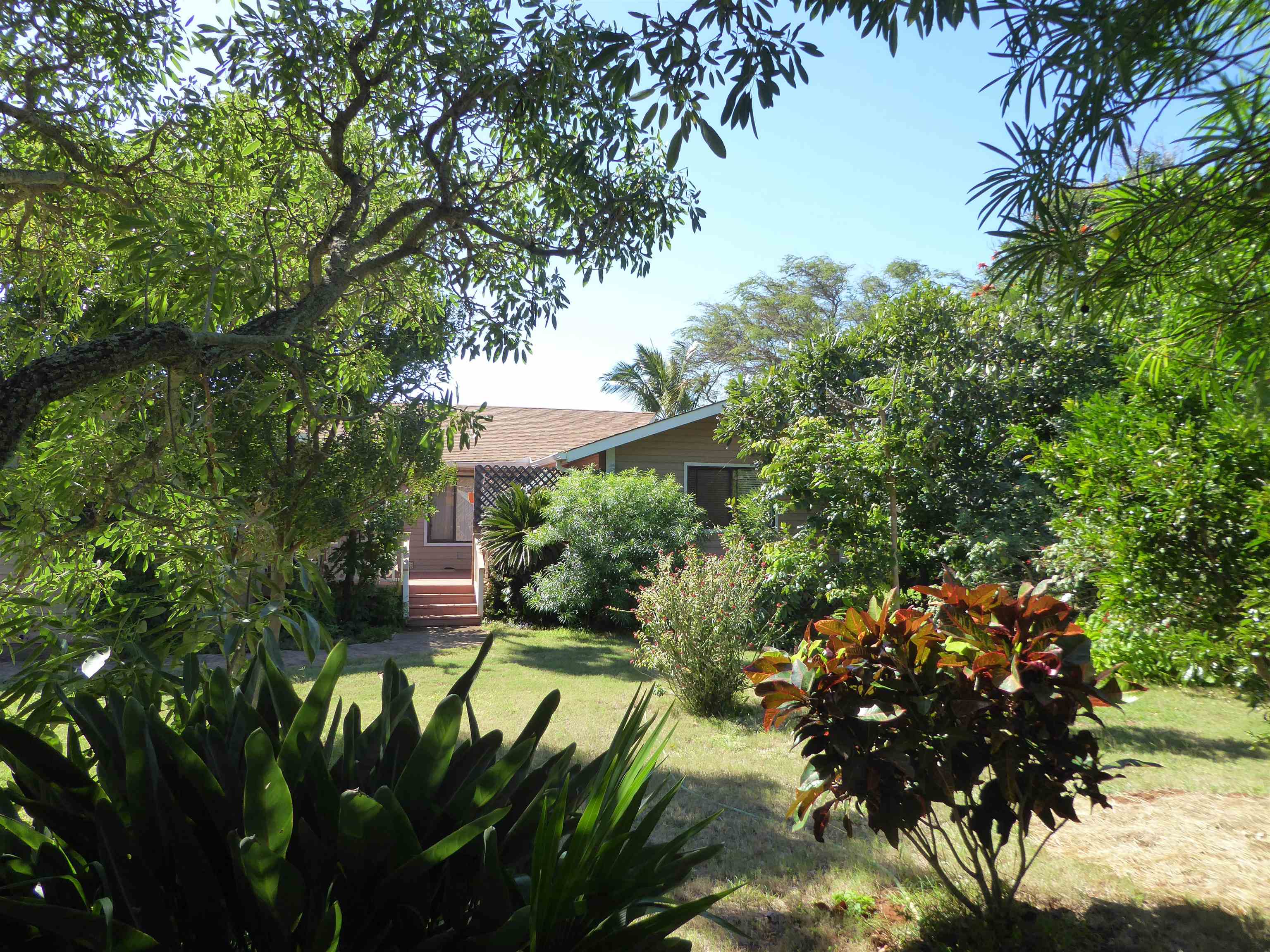 91 Noho Lio Road Maunaloa, HI 96770 - Photo 7 of 27 a view of a garden