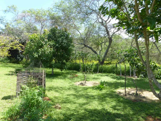 a view of backyard of the house