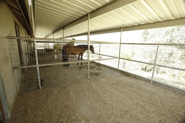 37452 Dunlap Road Squaw Valley, CA 93675 - Photo 12 of 93 Gallery Image 12