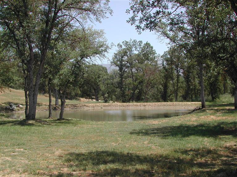 37452 Dunlap Road Squaw Valley, CA 93675 - Photo 29 of 93 Gallery Image 29