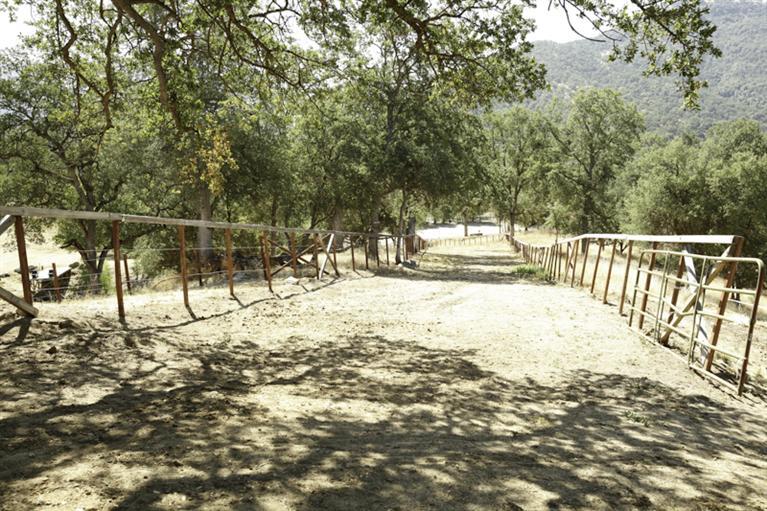37452 Dunlap Road Squaw Valley, CA 93675 - Photo 76 of 93 Gallery Image 76