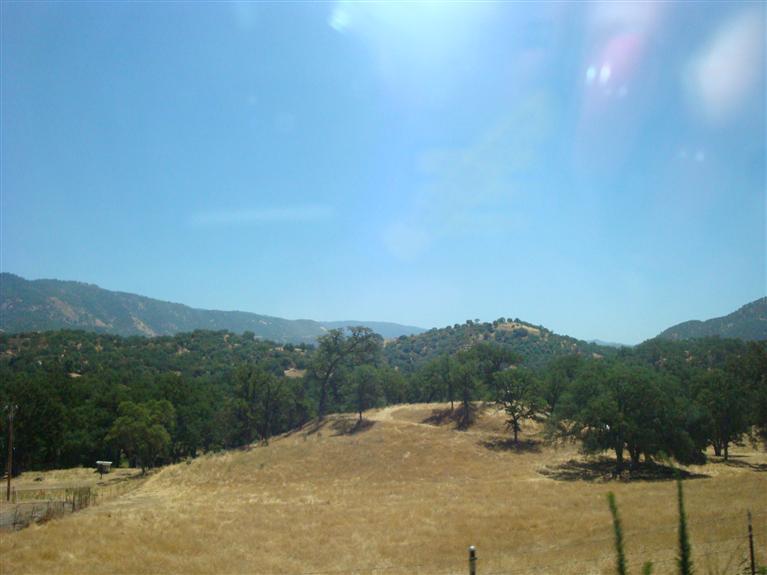 37452 Dunlap Road Squaw Valley, CA 93675 - Photo 87 of 93 Gallery Image 87