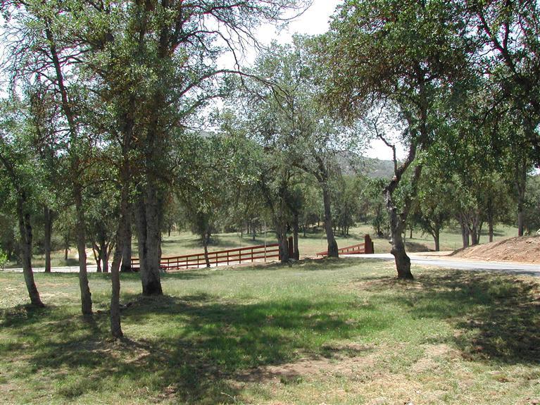 37452 Dunlap Road Squaw Valley, CA 93675 - Photo 88 of 93 Gallery Image 88