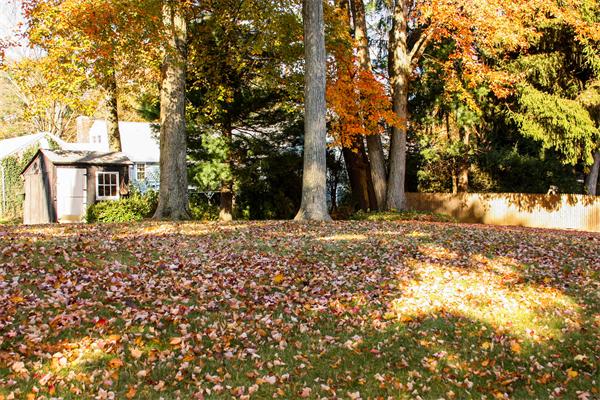 36 Rogers Road East Longmeadow, MA 01028 - Photo 16 of 16 Gallery Image 16