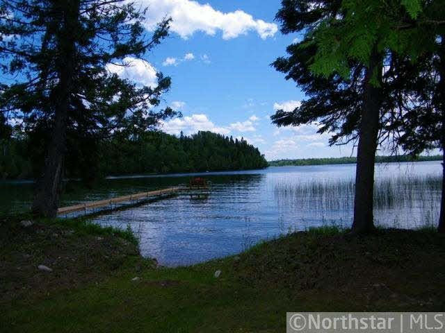 52165 Eagle Point Spur Bigfork, MN 56628 - Photo 2 of 10