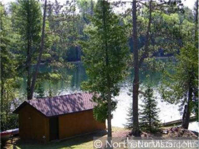 52165 Eagle Point Spur Bigfork, MN 56628 - Photo 3 of 10