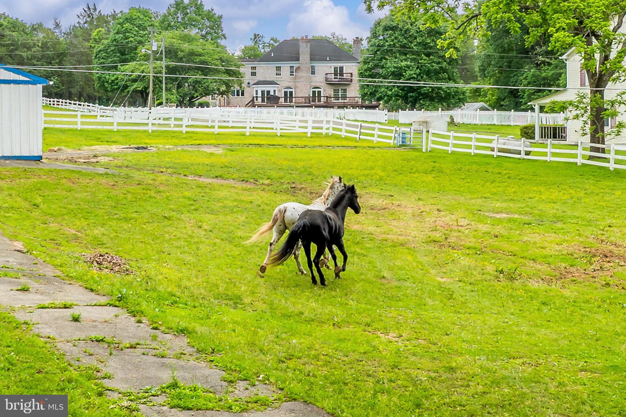 13310 Compton Road Clifton, VA 20124 - Photo 110 of 117 a view of swimming pool with lawn chairs and plants