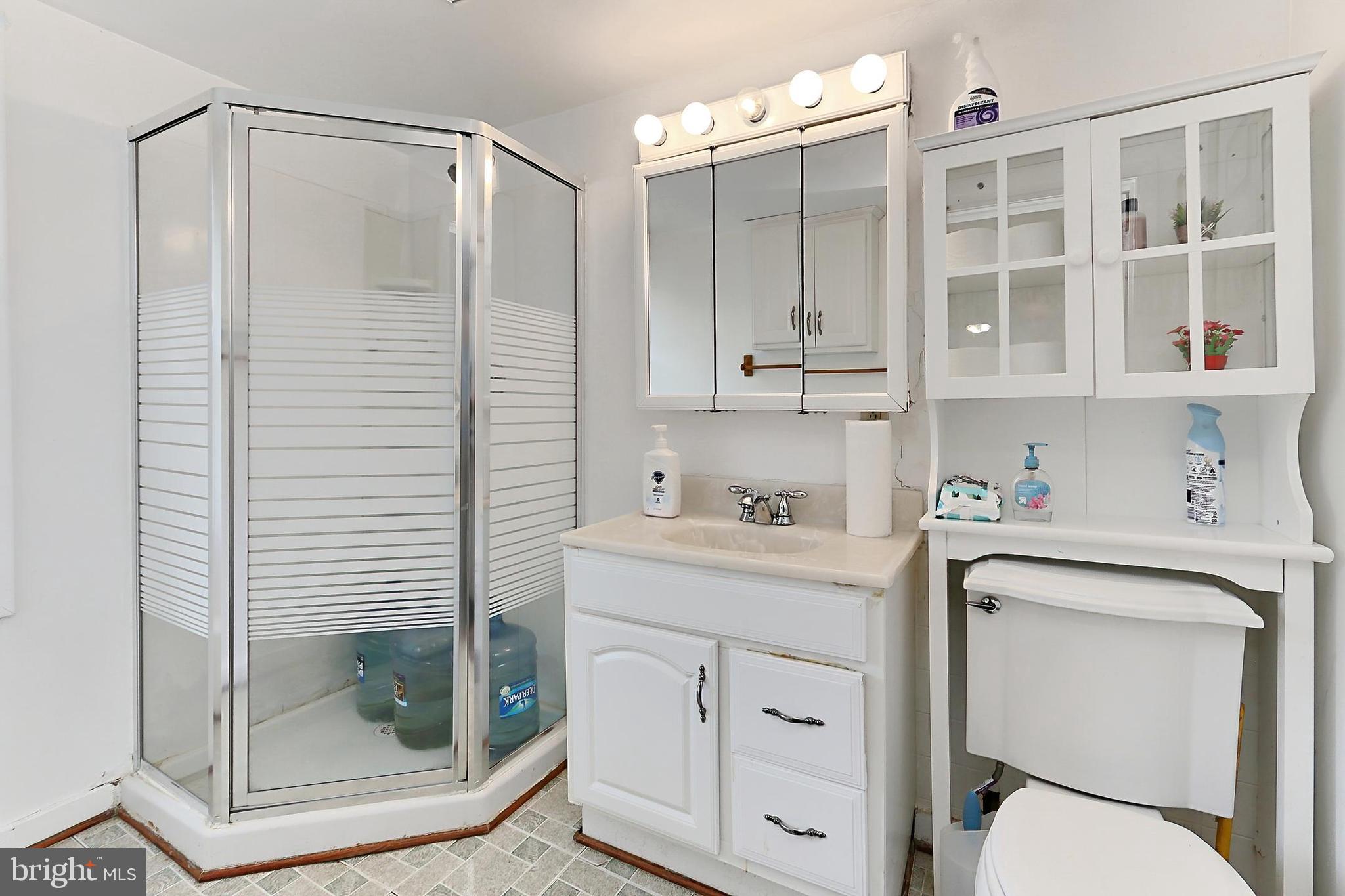 13310 Compton Road Clifton, VA 20124 - Photo 89 of 117 a bathroom with a shower a sink and a mirror