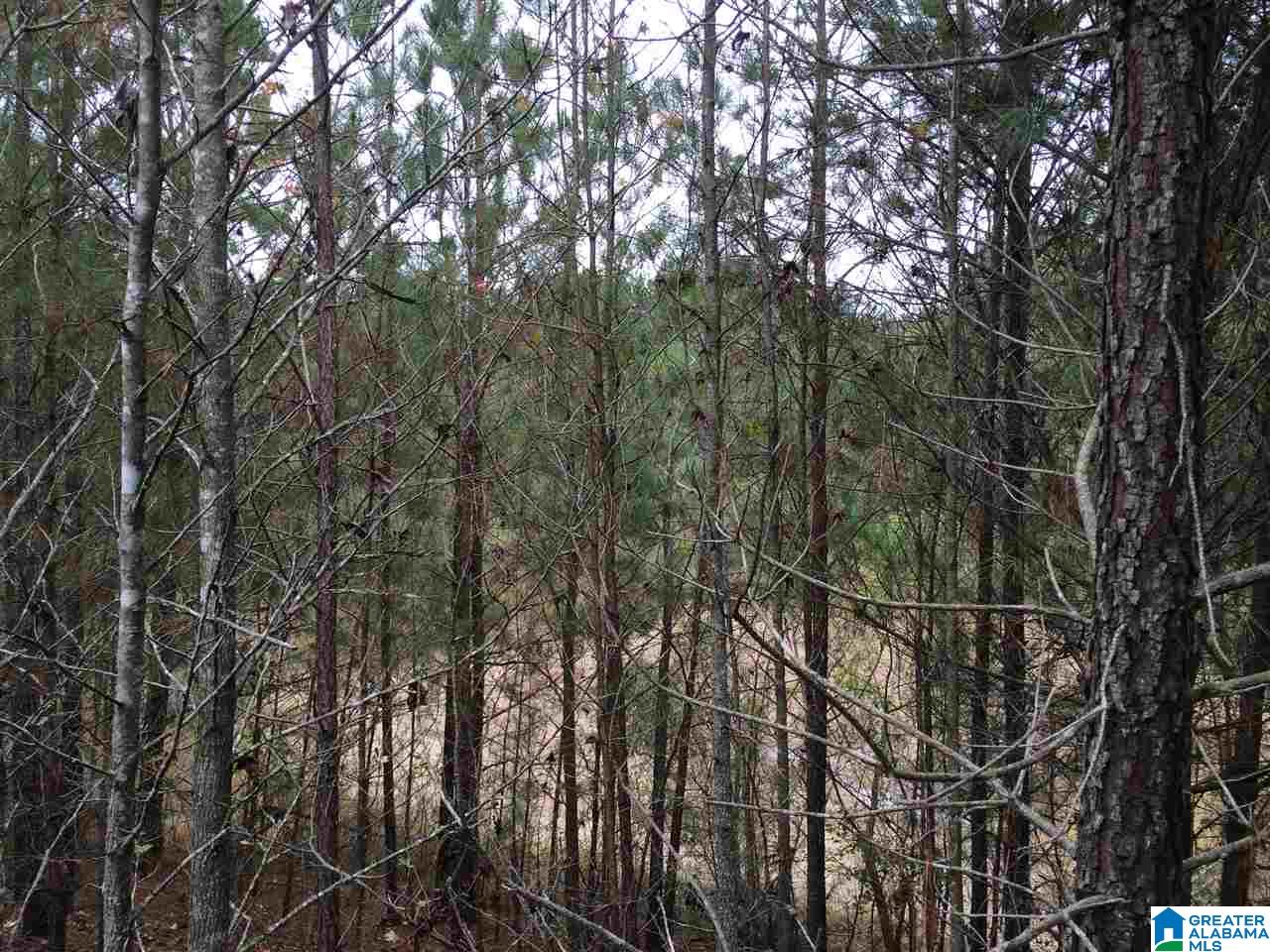 Page Spring Road, Unit 4 Arab, AL 35016 - Photo 24 of 29