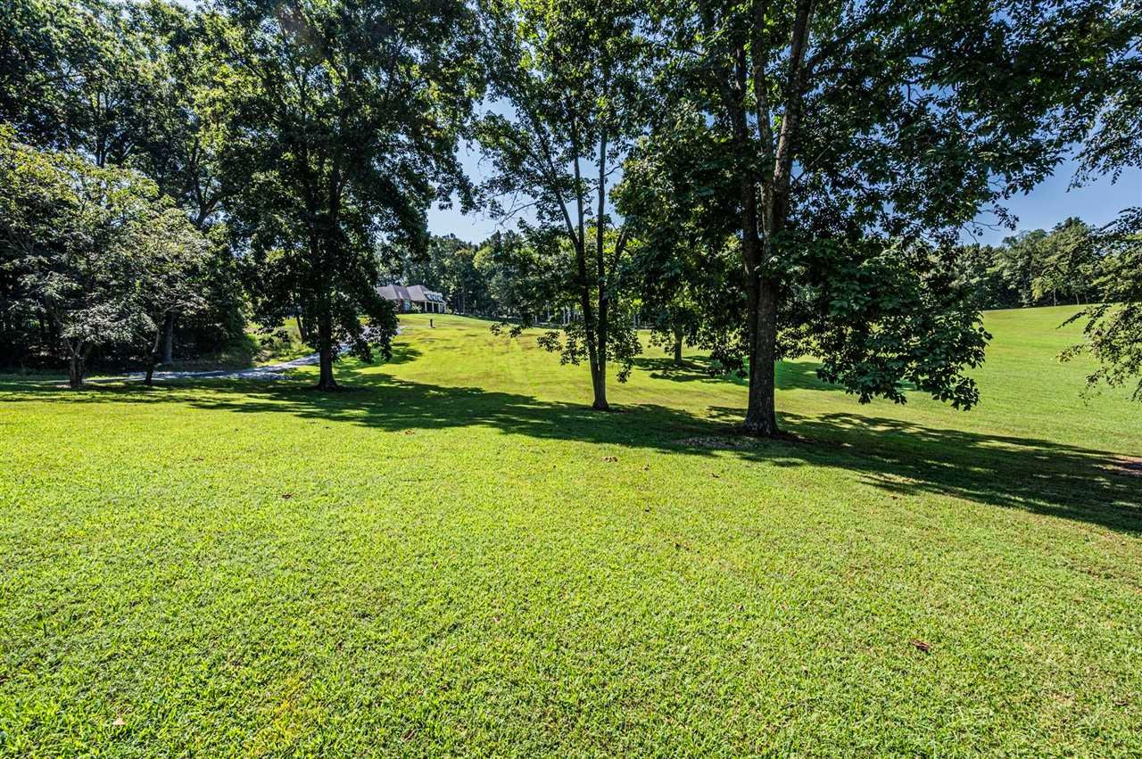 1220 Old Dearing Road Alvaton, KY 42122 - Photo 13 of 35 Gallery Image 13