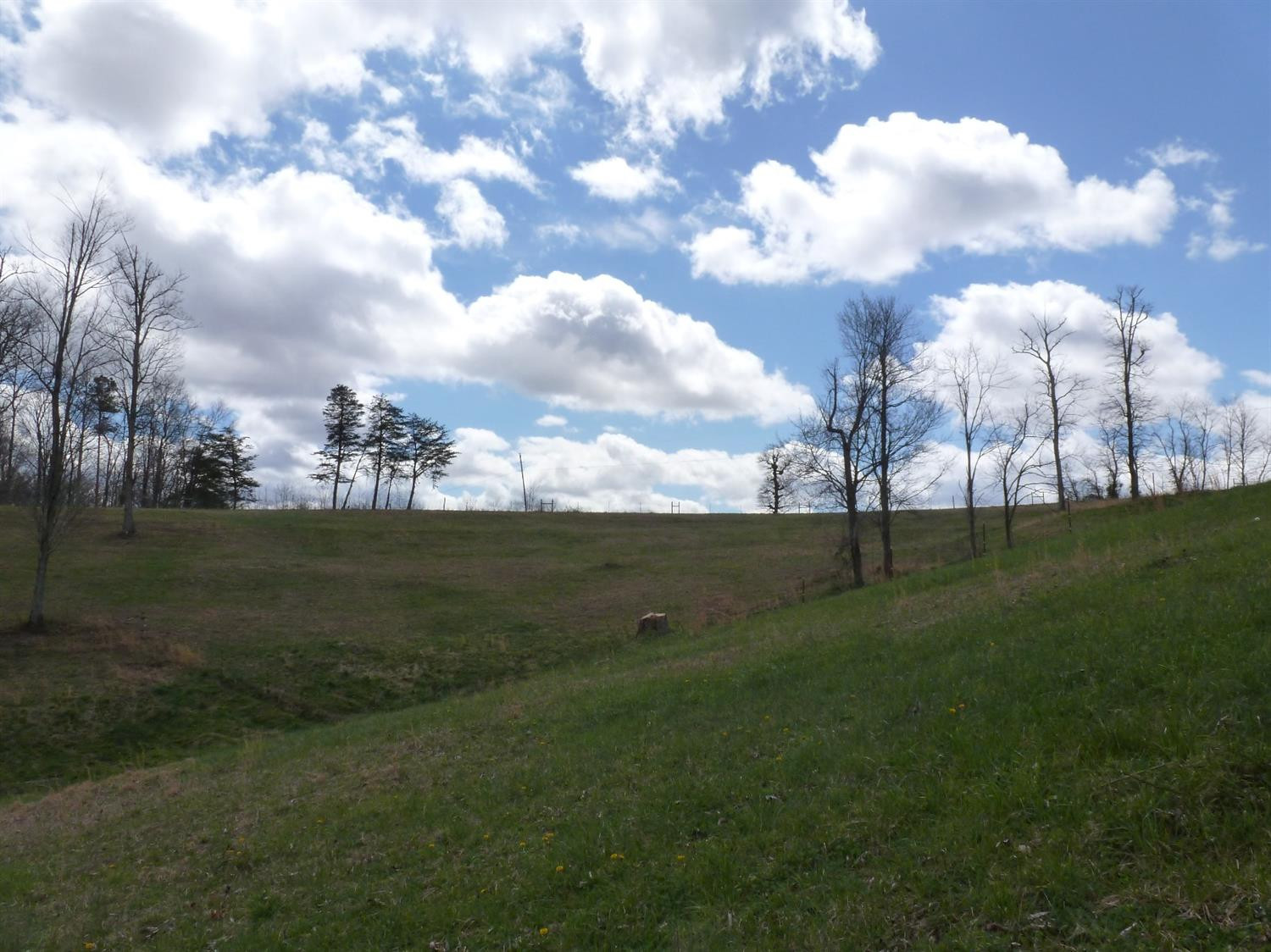 3821 Amos Ridge Road Frenchburg, KY 40322 - Photo 31 of 88 Photo 31