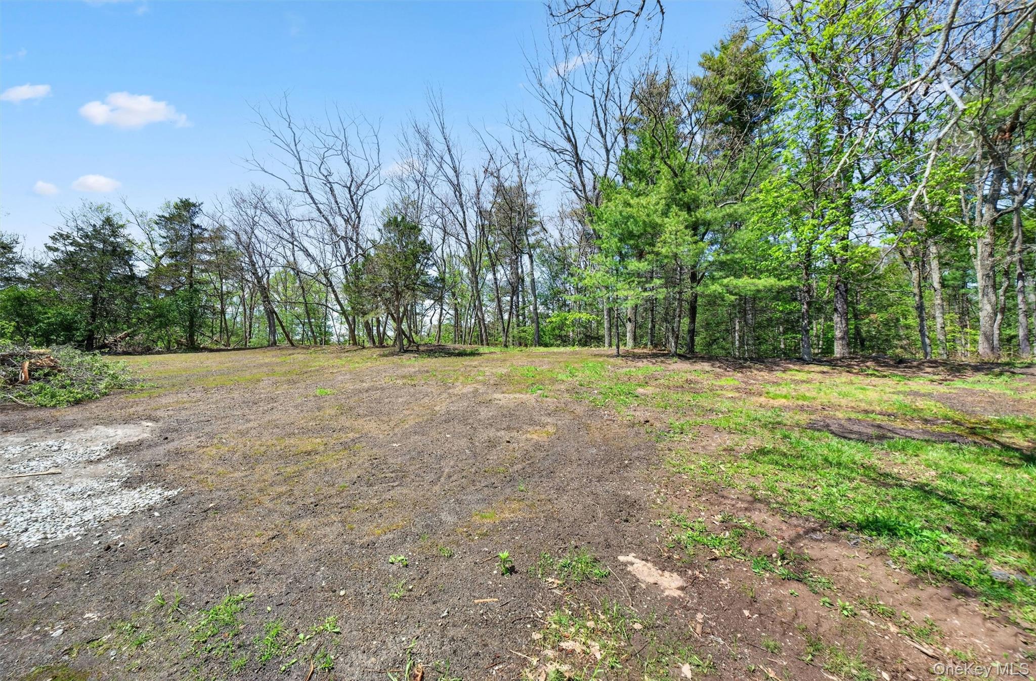 71 Blacks Road Kingston, NY 12401 - Photo 18 of 20 a view of a field with trees in the background