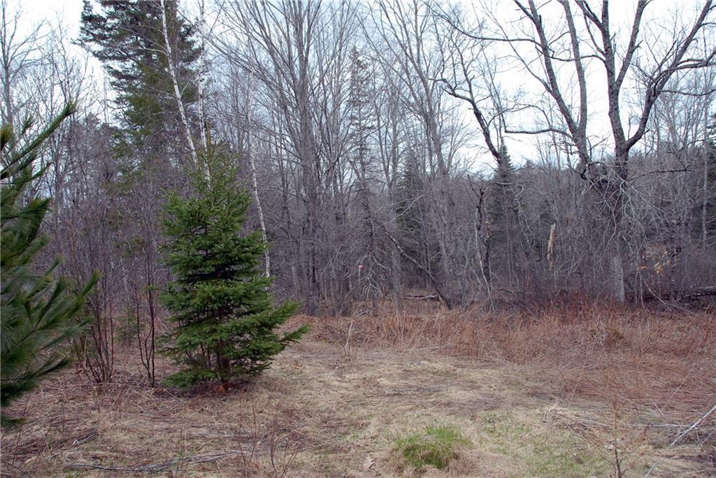 0 Cedar Swamp Road Orland, ME 04472 - Photo 16 of 24 Photo