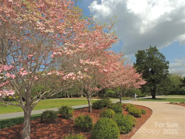 a view of a garden with large trees