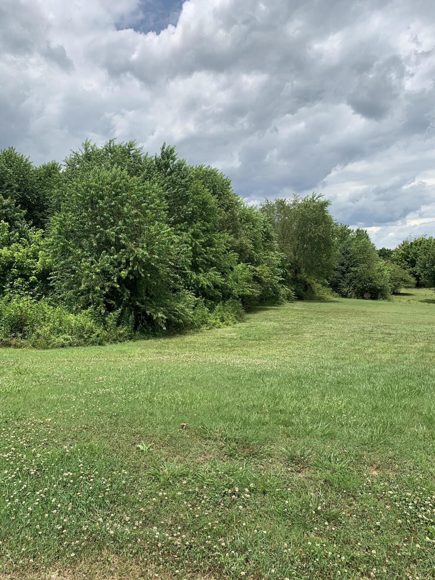 0 Steekee Road Loudon, TN 37774 - Photo 3 of 5 a view of a big yard with plants and large trees