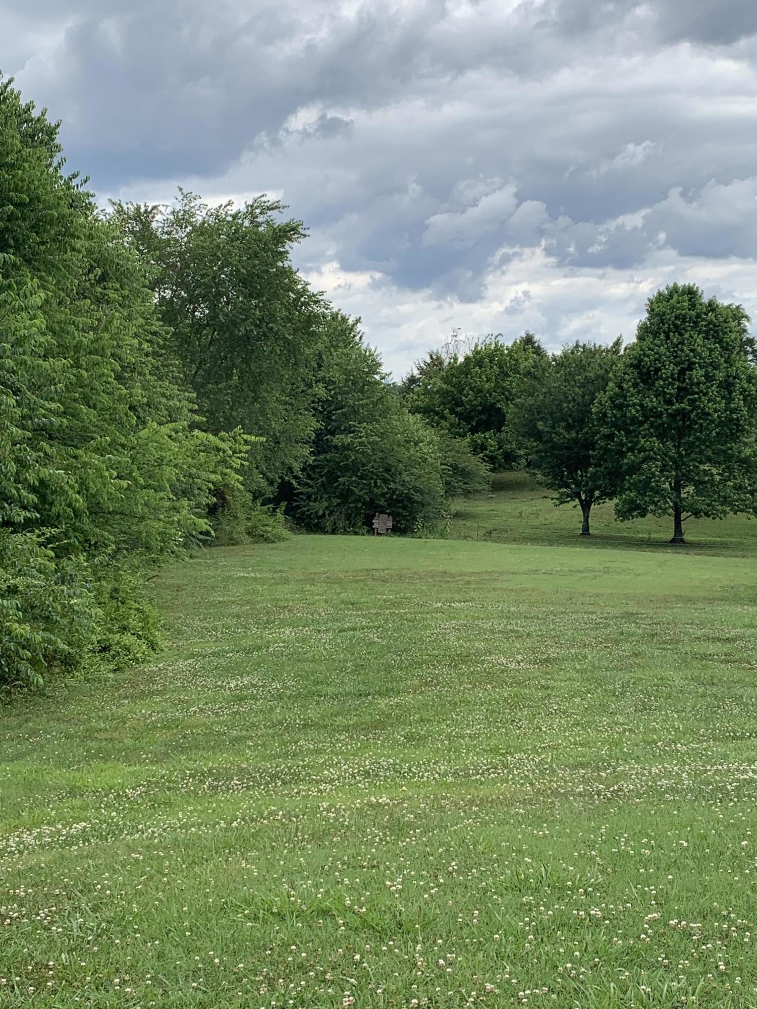 0 Steekee Road Loudon, TN 37774 - Photo 4 of 5 a view of a green field with wooden fence