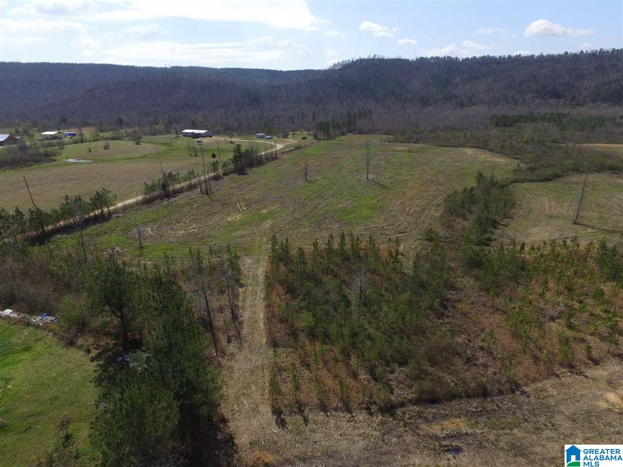 Shoal Creek Road, Unit 4 Springville, AL 35146 - Photo 10 of 10